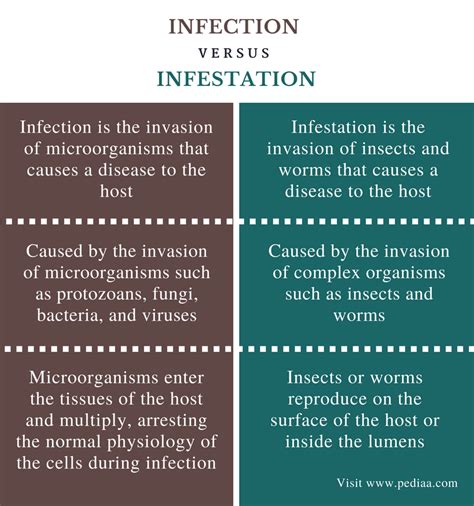 Difference Between Infection and Infestation  Definition, Causative
