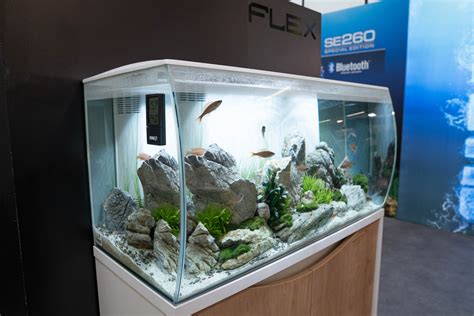 Chewy.com has been visited by 100k+ users in the past month Fluval Flex Aquascape - Aquascape Ideas