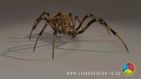 Animated Cgi 3d Spider Walk Cycle Youtube