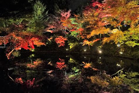 Kyoto At Night 5 Best Temples In Kyoto To Visit At Night Japan Web
