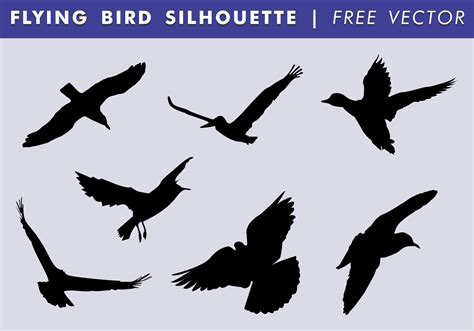 Flying Bird Silhouette Free Vector Download Free Vector Art Stock