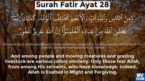 Surah Fatir Ayat 28 3528 Quran With Tafsir My Islam