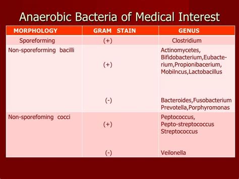 Anaerobic Bacteriology Lecture