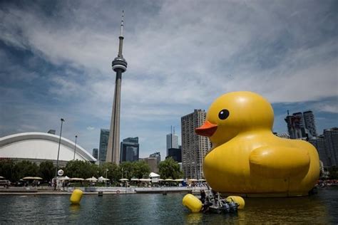 Giant Rubber Duck Wades Into Toronto After Causing A Flap Infonews