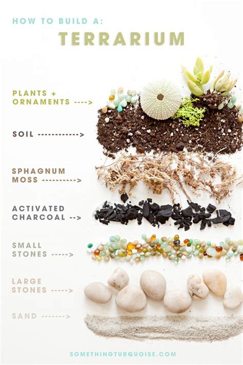 How to make a cactus terrarium. Learn how to make terrariums for your wedding! | Terraria ...