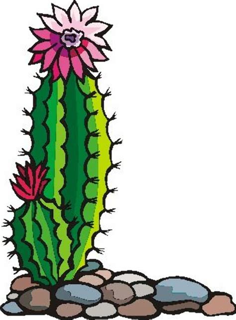 Download High Quality Cactus Clipart Flower Transparent Png Images