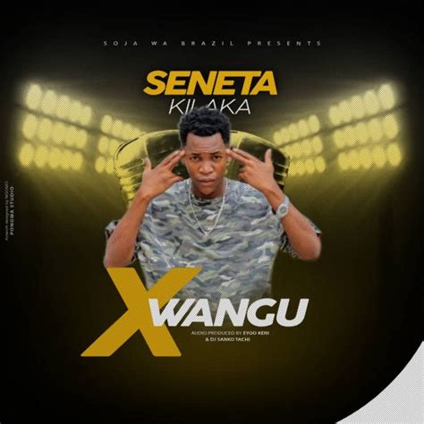 Audio Seneta Kilaka X Wangu Download Dj Mwanga