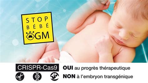 Rappel Action Stop bébé OGM continue Vita Riposte catholique