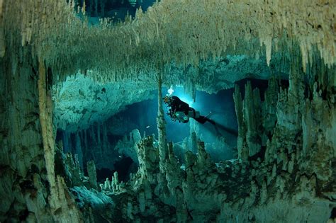 Gorgeous Underwater Cave Covered In Stalactites Pics