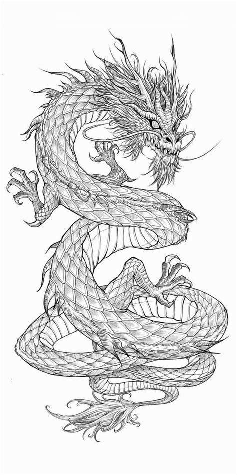 Pin By Samantha Borges On Wallpaper Dragon Tattoo Art Dragon Head