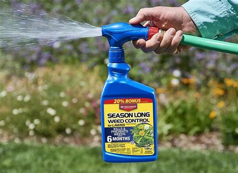 The Best Herbicide For Dandelions Gardener Corner