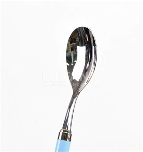 Kakao Friends Lyan Junior Stainless Steel Spoon Chopsticks Case Set