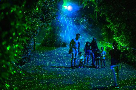 A Fusion Of Nature And Technology Rainforest Lumina Lights Up The Wild