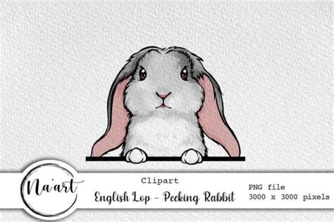 20 Rabbit Breeds Peeking Rabbit Bundle · Creative Fabrica