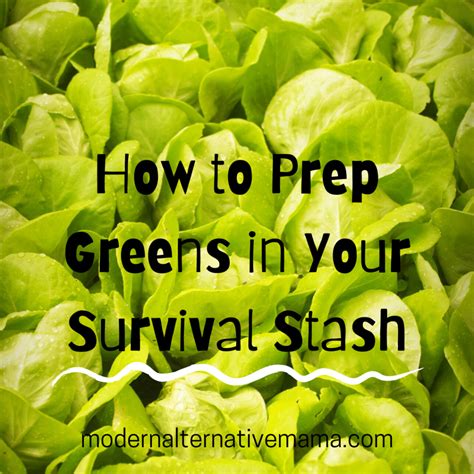 How To Prep Greens In Your Survival Stash 1