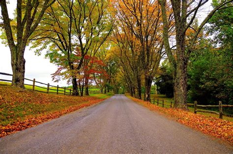768310 Autumn Roads Trees Fence Rare Gallery Hd Wallpapers