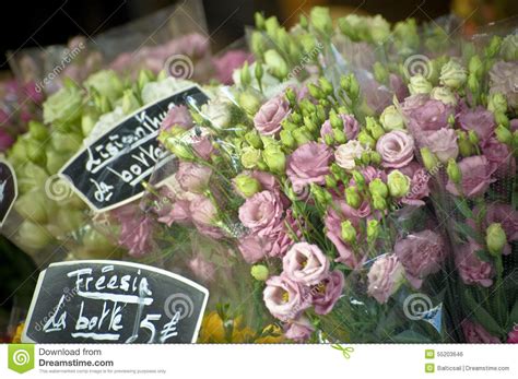 Beautiful Parisian Flower Markets Stock Photos Free And Royalty Free