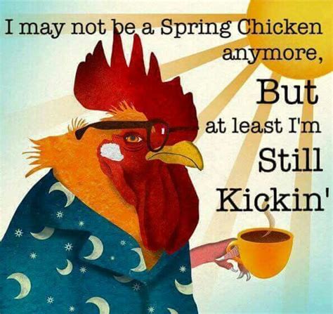 Pin By Coralee Mckain On About Chickens Rooster Funny Spring Chicken