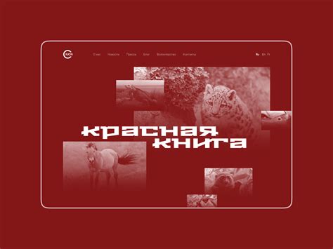 Дизайн сайта красной книги в стиле миниморфизм By Yan Ageenko On Dribbble