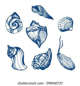 Seashells Set Hand Drawing Vector Illustration Stock Vector Royalty
