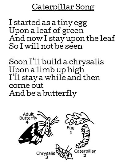 Butterfly Art Writing Poems Freebies Grade Onederful Butterfly