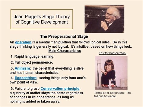 Jean Piagets Stage Theory Of Cognitive Development BASIC