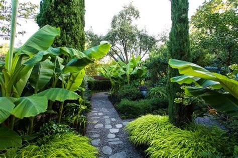 Small Garden Gets Tropical Makeover Garden Design