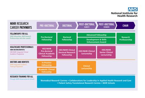 Career Pathway Diagram Career Pathways How To Memorize Things