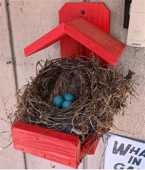 Nesting Box For Robins And Doves Etsy