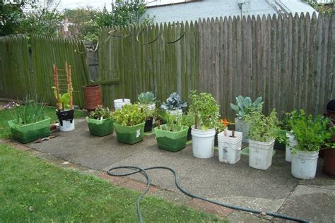 Container Vegetable Gardening Designing Your Container