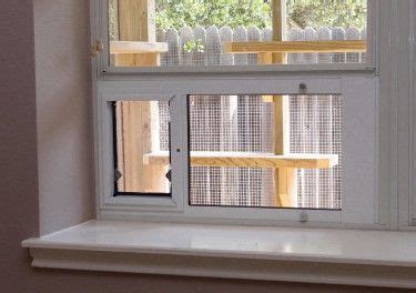 Why our cat & dog doors? The Cat Carpenter Catios - There are several types and ...