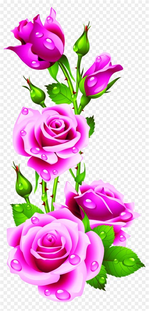 Pink Flowers Clip Art Drops Petals Rose Flower Pink Border Hd Png