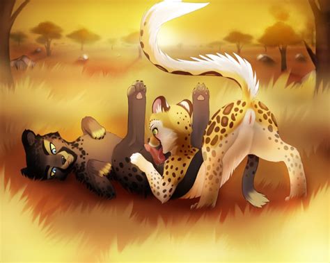 Rule 34 Anthro Cheetah Cheetahs Darkmirage Feline Fellatio Female Furry Hotwert Licking Male