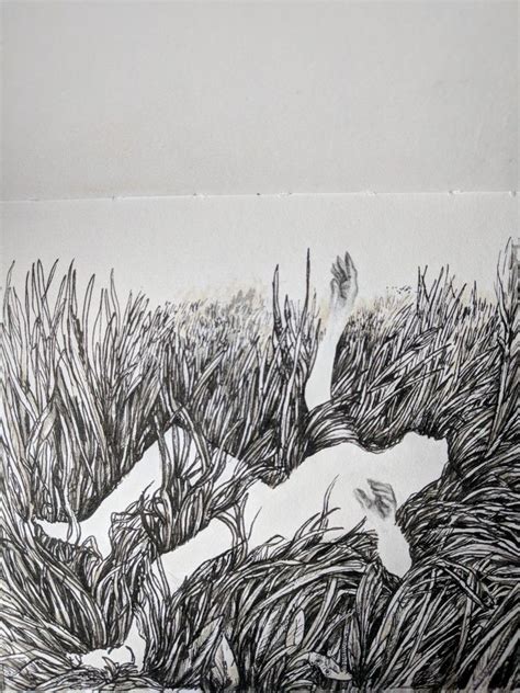 Tall Grasses Ink And Graphite Grass Drawing Ink Illustrations