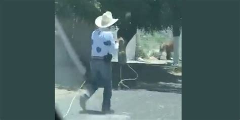 Wild Video Shows Mexican Man In Cowboy Hat Lassoing Loose Tiger On