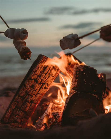 500 Bonfire Pictures Hd Download Free Images And Stock Photos On