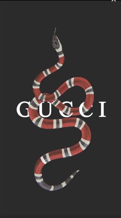 Gucci Tiger Wallpapers On Wallpaperdog