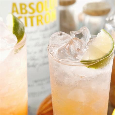 absolut passion recipe absolut drinks