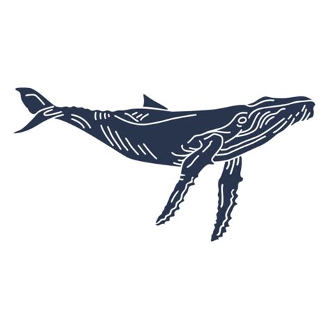 Blue Whale Sea Animal Silhouette Transparent Png And Svg Vector File