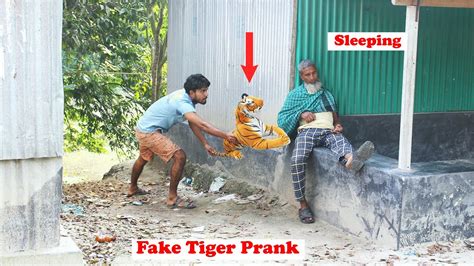 Fake Tiger Prank With Grandpa Fake Tiger Vs Public Reaction Prank