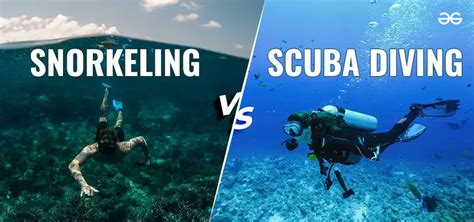Snorkeling Vs Scuba Diving Differences Similarities Equipment