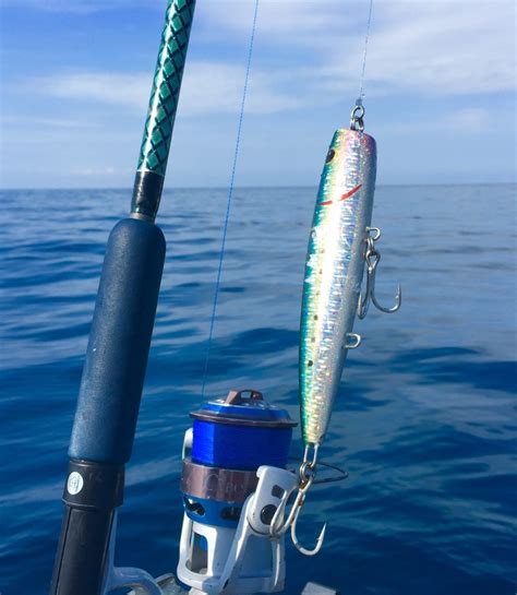 Canna Da Pesca Spinning Per Tonnisave Up To 19