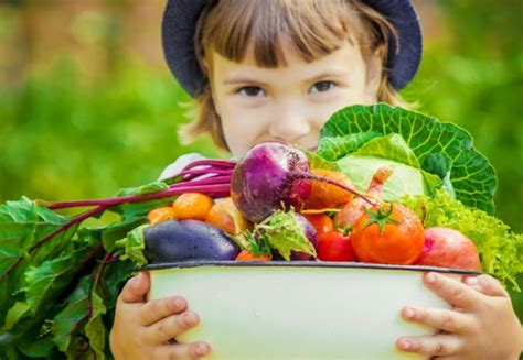 3 Reasons We Need To Teach Children Healthy Eating Habits At A Young
