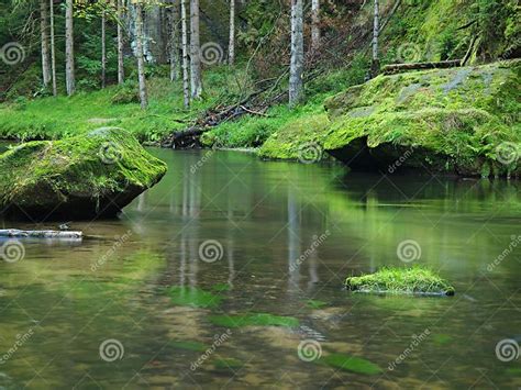 Mossy Sandstone Boulders In Water Of Mountain River Clear Blurred