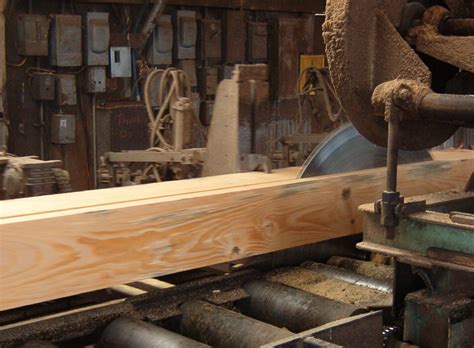 Технология обработки древесины — Деревообработка — Статьи