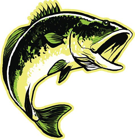 Royalty Free Largemouth Bass Clip Art Vector Images And Illustrations