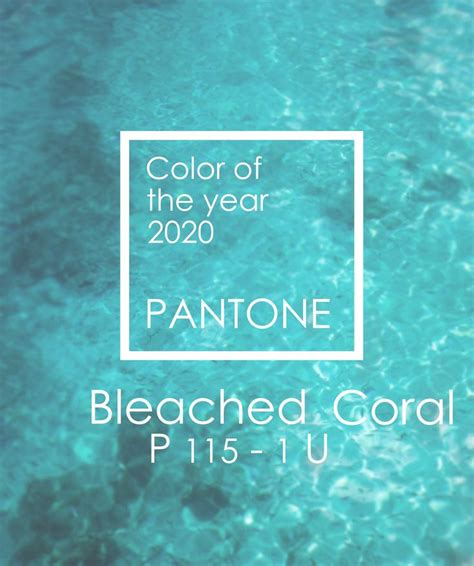 Color Of The Year 2020 Pantone Bleached Coral