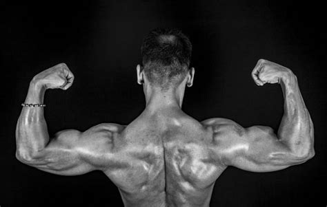 6 Things You Should Look For In Testosterone Boosting Supplements Diy