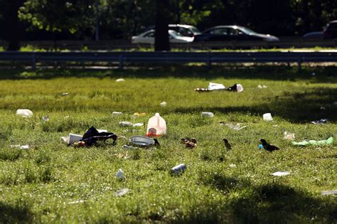 Fighting Trash And Noise At Parks Weekly Revelry The New York Times