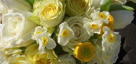 Hours may change under current circumstances Home - Jardiniere Flowers | Flowers, Florist, Gift boutique